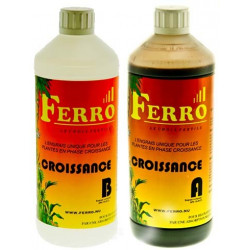 Ferro Grow A+B 2x1 litre