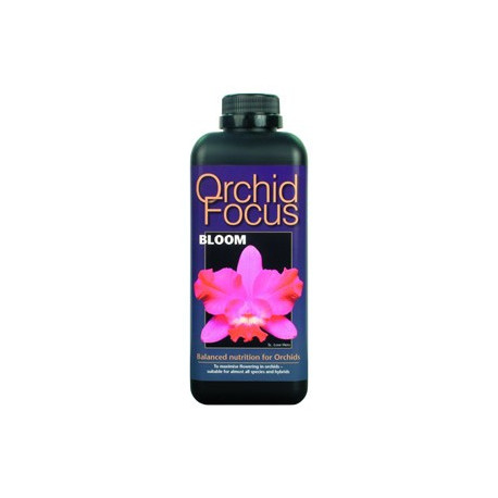 Ionic Orchid Focus Bloom 1 L 