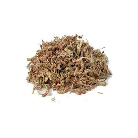 Sphaigne du Chili sac de 1KG