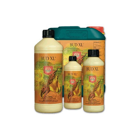 House & Garden Bud XL 1L 