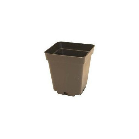 Pot carré (12X12xH13cm) - 1,5L x 50 20%