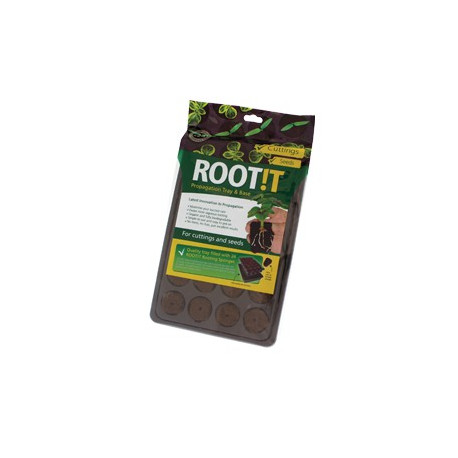 ROOT IT  24 blocs