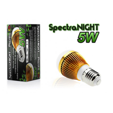 Ampoule 5 W Leds Verte