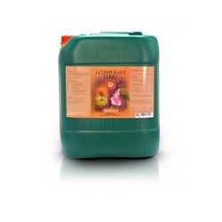  House & Garden Composant-1 Terre 5 L 