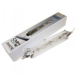 CMH - Ampoule CMH Double...