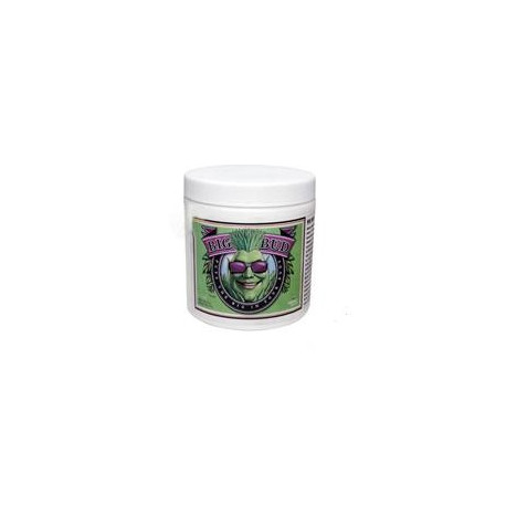 Advanced Nutrients Big Bud 130 g