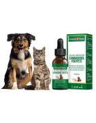 huile cbd animaux