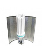 Kit Eclairage Economie d'énergie - Ampoules CFL - Croissance et Floraison - Culture d'Interieur