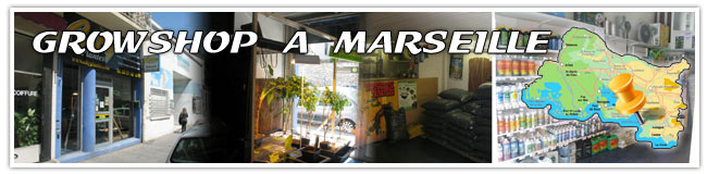 Growshop à marseille