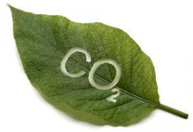 Co2